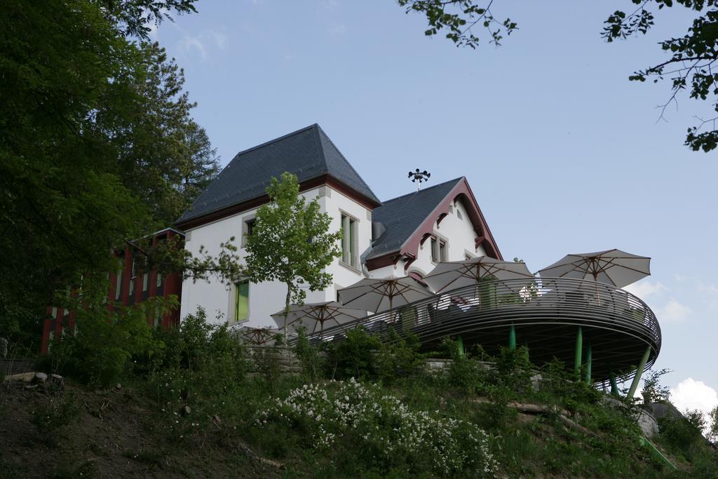 Sorell Hotel Rigiblick - Studios & Spa Suites Ζυρίχη Εξωτερικό φωτογραφία